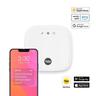 Hub 2 White