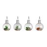 Solar Bulb Light w Succulent Assorted