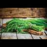 Dill