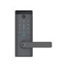 Smart Entrance Lever Graphite Finish