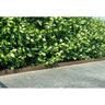 Garden Landscape Edging