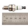 Hedger Spark Plug