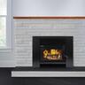 LTD Smart Insert VE Wood Fire