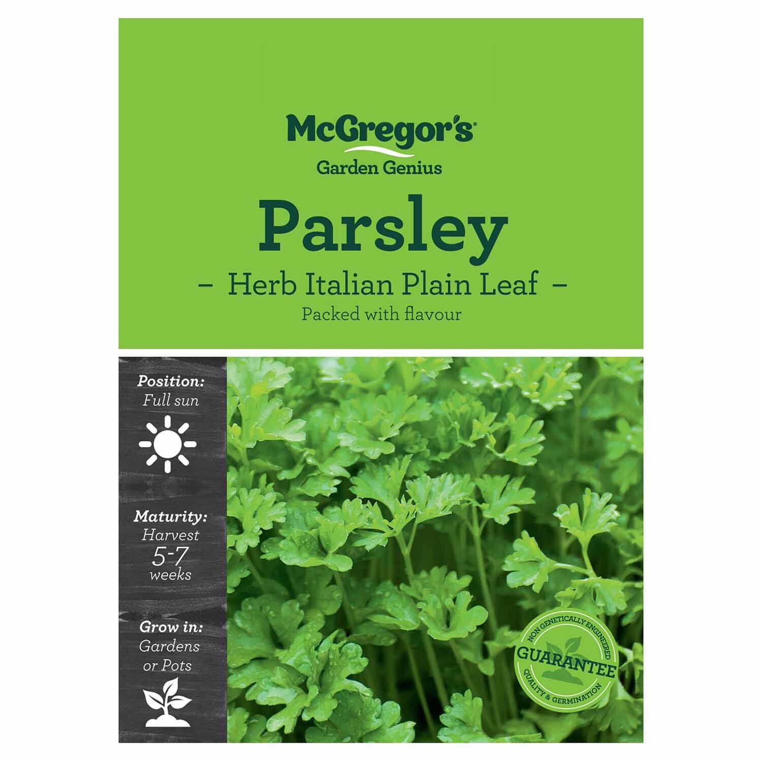 Italian Plain Leaf Parsley  Herb Seed