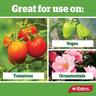 Organic Vegie Natrasoap Ready To Use Insecticide