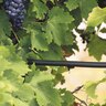 Agri Drip Emitter