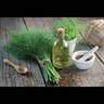 Dill
