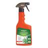 Lawn Weed Control