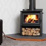 Wee Rad Woody 15kW Wood Fire and Standard Flue Kit
