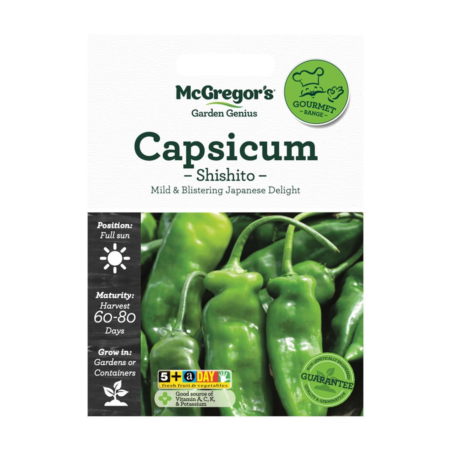 Capsicum Shishito Vegetable Seed