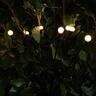 Firefly Solar Lights 2 Pack