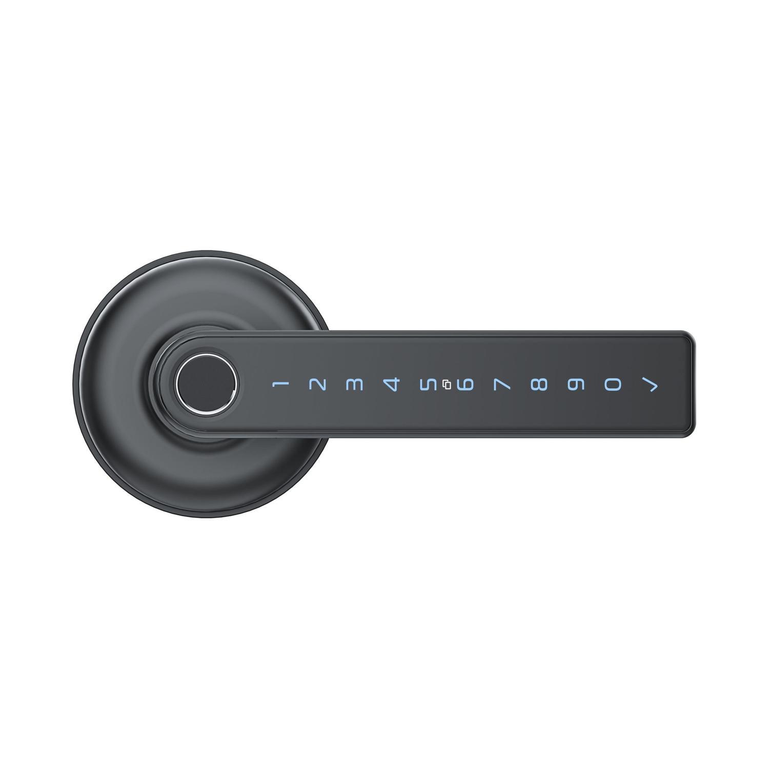 Smart Lever Graphite Finish