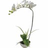 Artificial One-Stem Orchid H; 500mm White