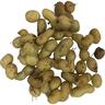 Peanut plant