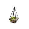 Glass Geometric Terrarium