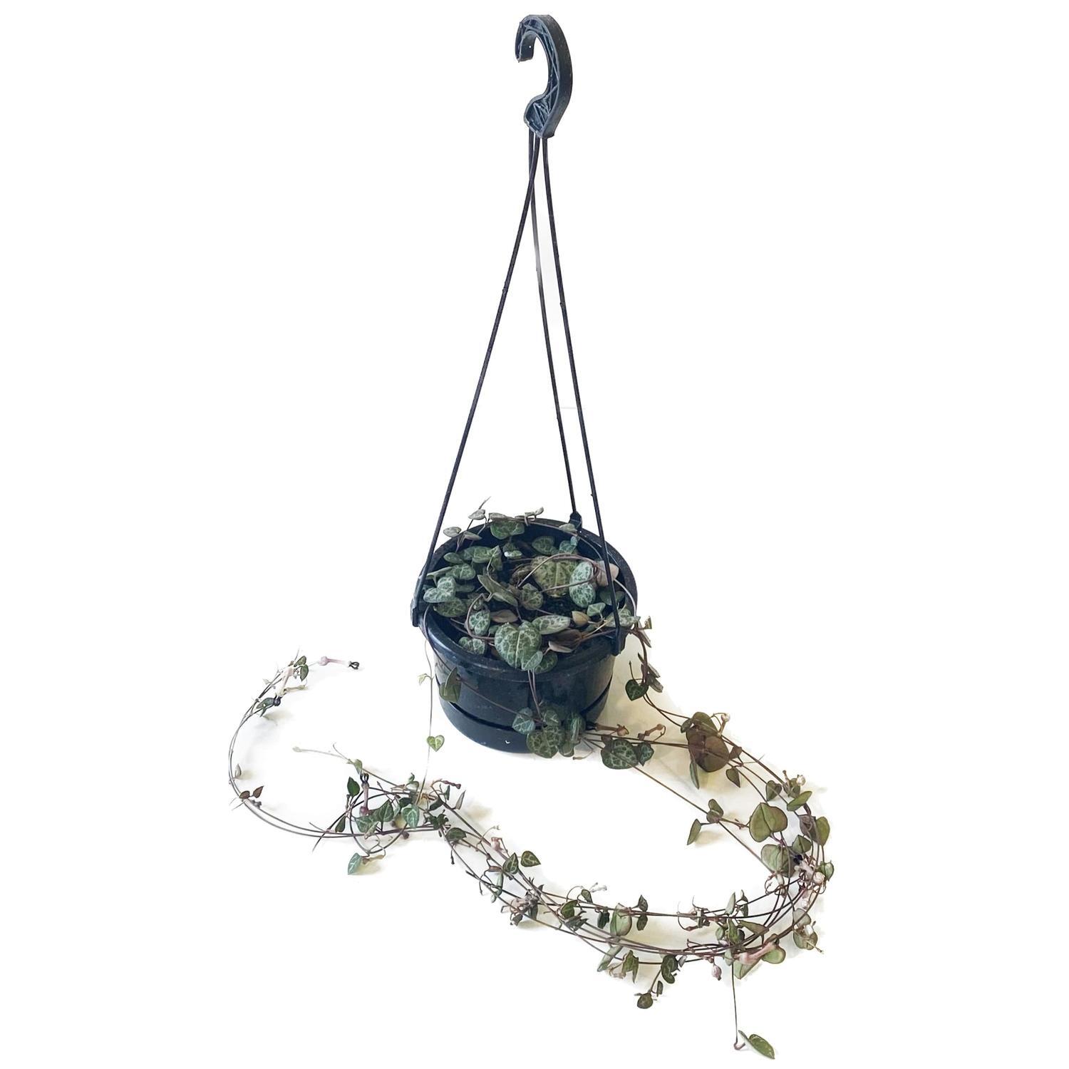 Chain of Hearts Basket 14cm