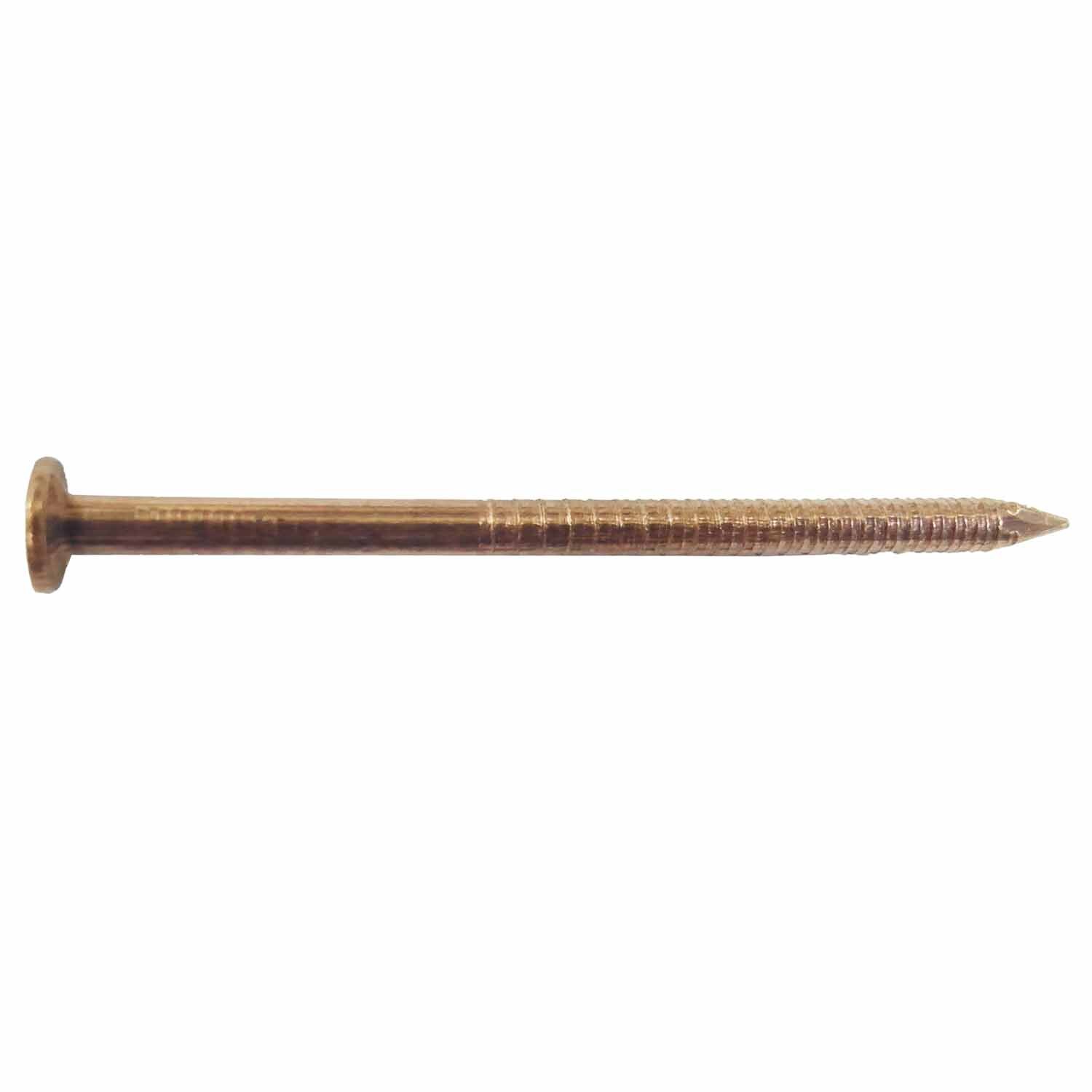 Flat Head Nail