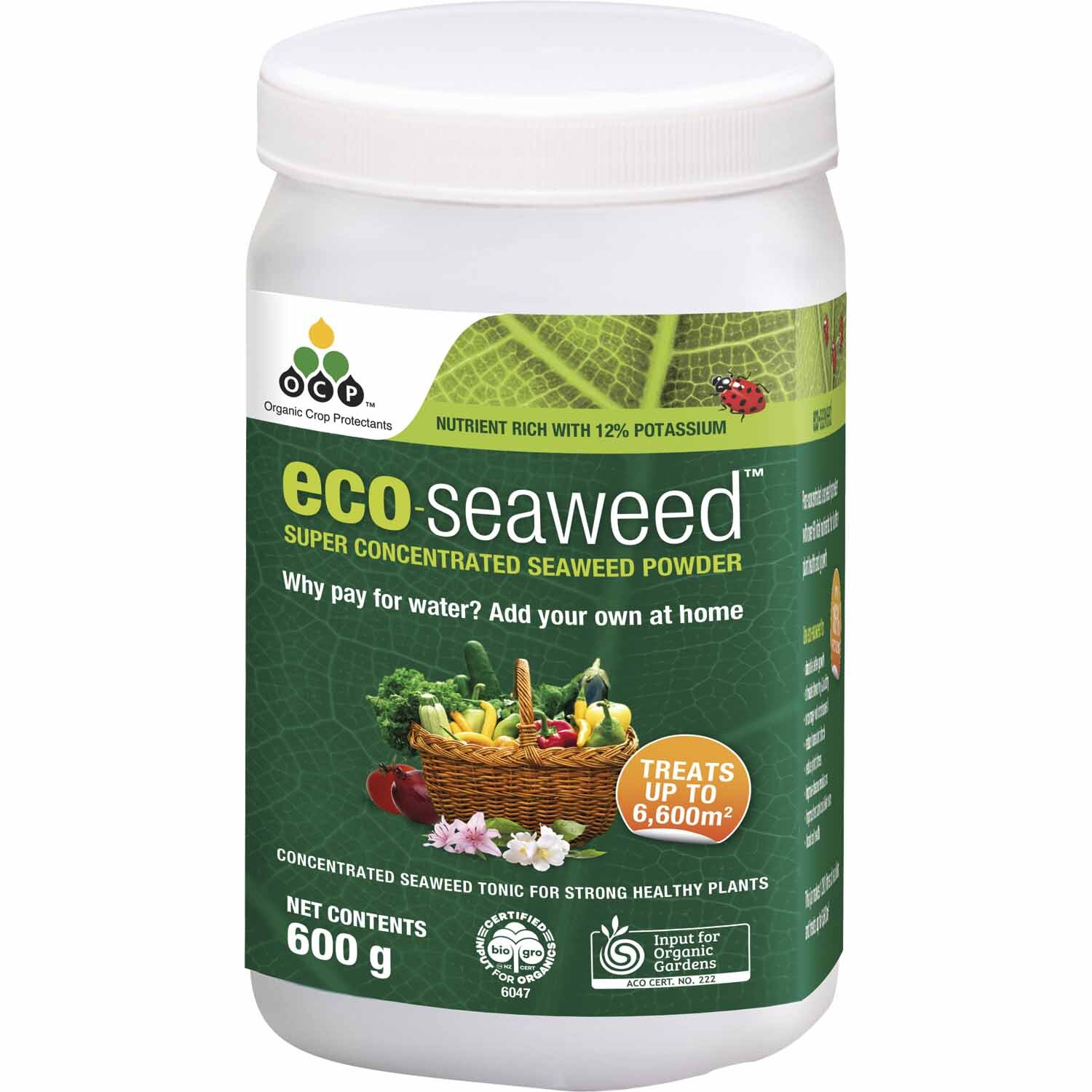 Eco Seaweed Tonic