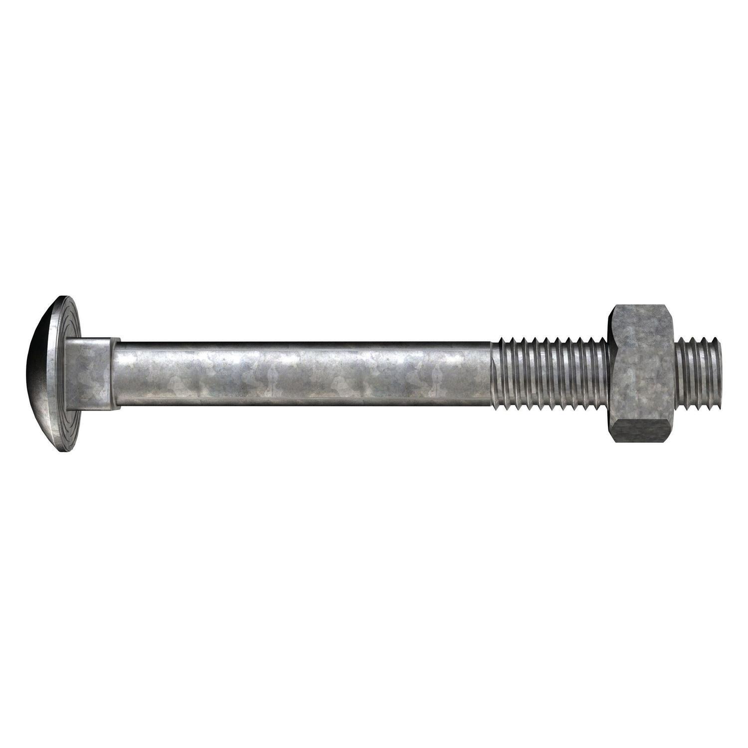 Coach Bolts & Nuts