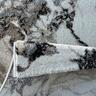 Granada Rug W: 2000mm, L: 2900mm Marble