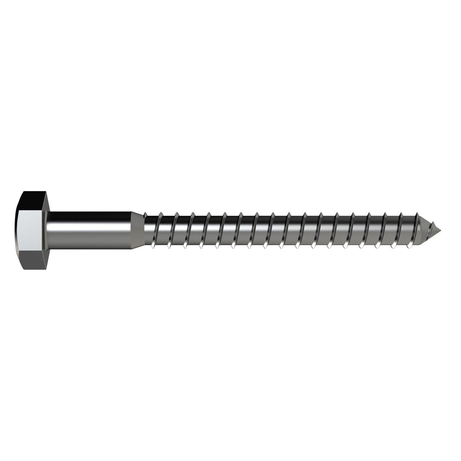 Coach Screw