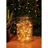 200 LED Seed String Lights