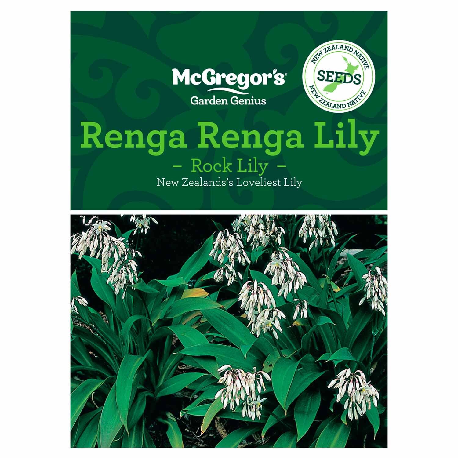 Renga Renga Lily  NZ Native Seed