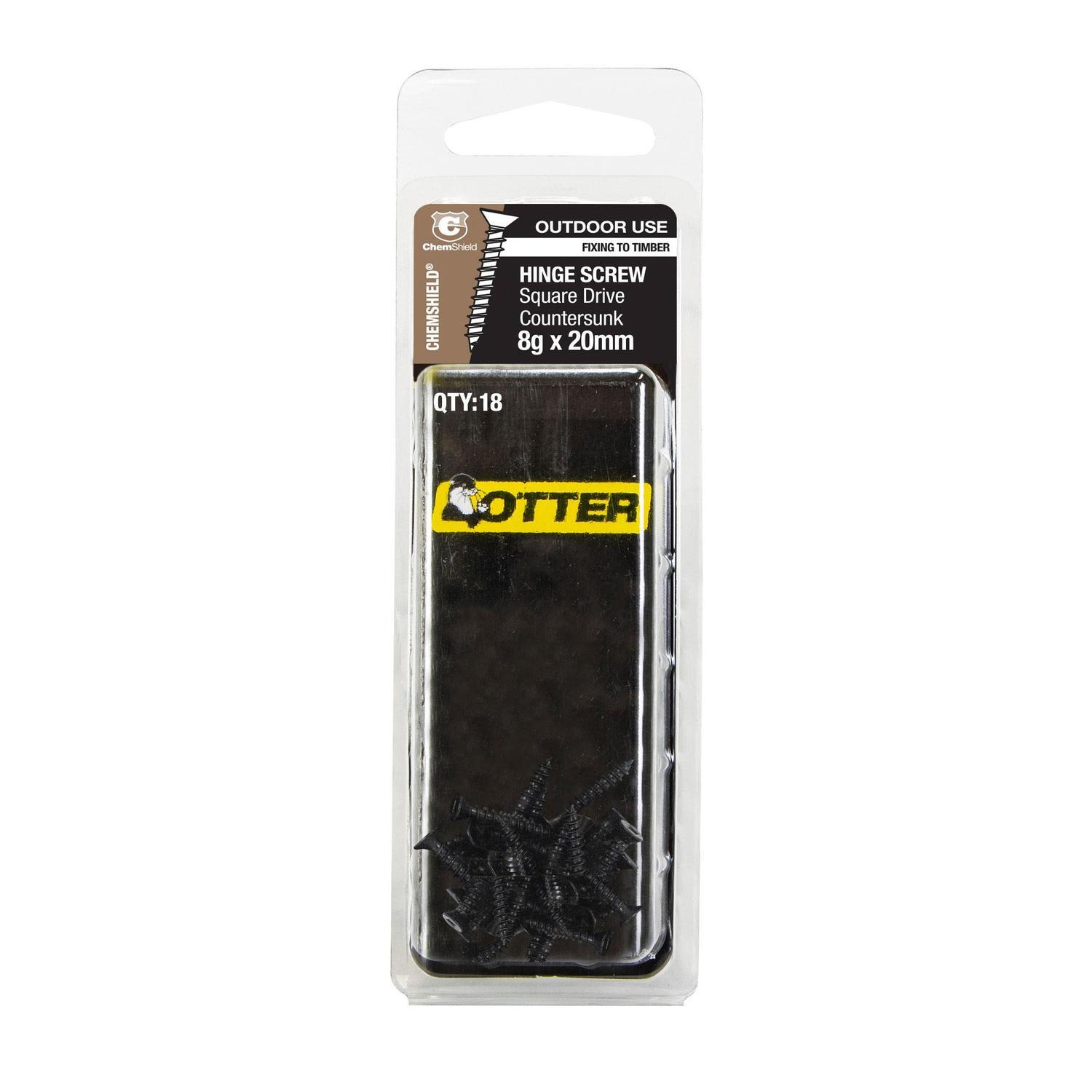 Hinge Screws