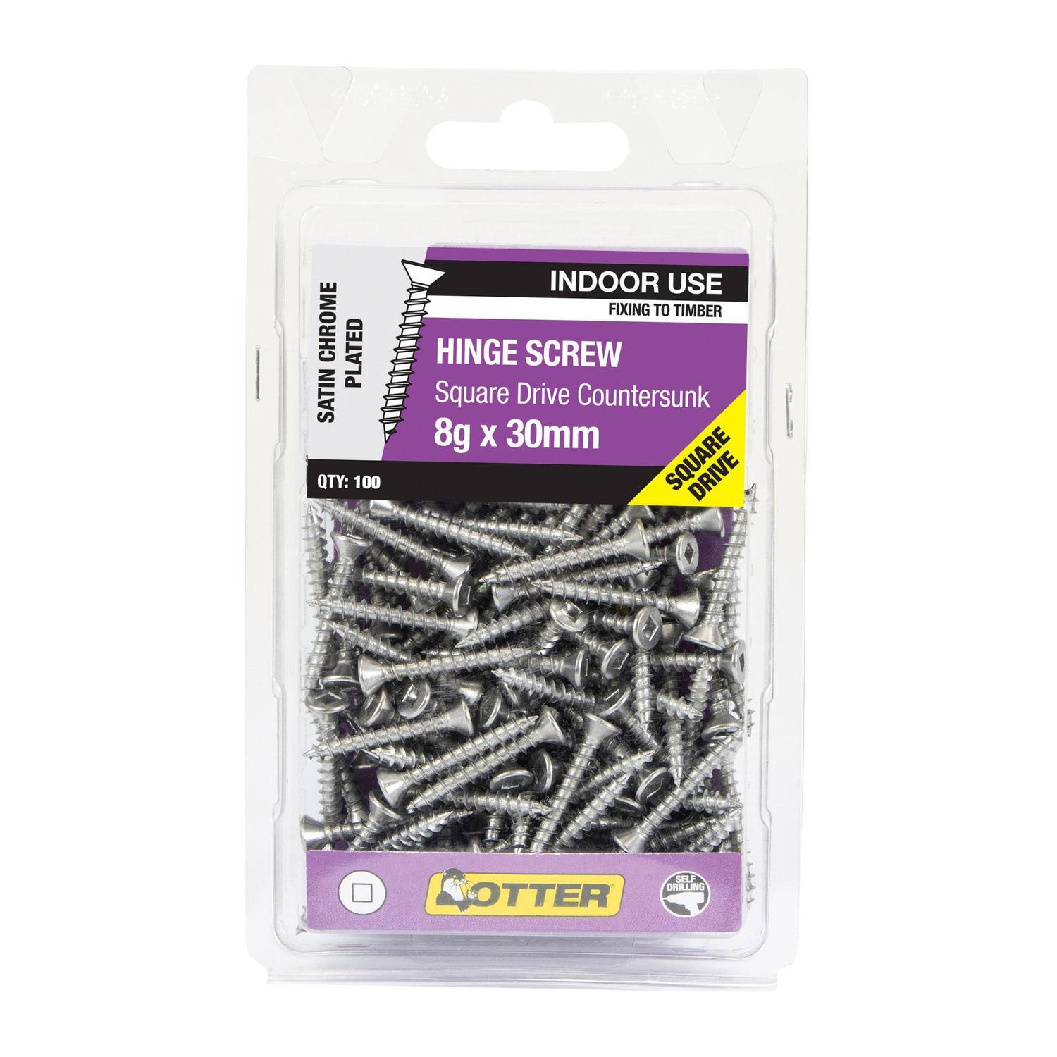 Hinge Screws