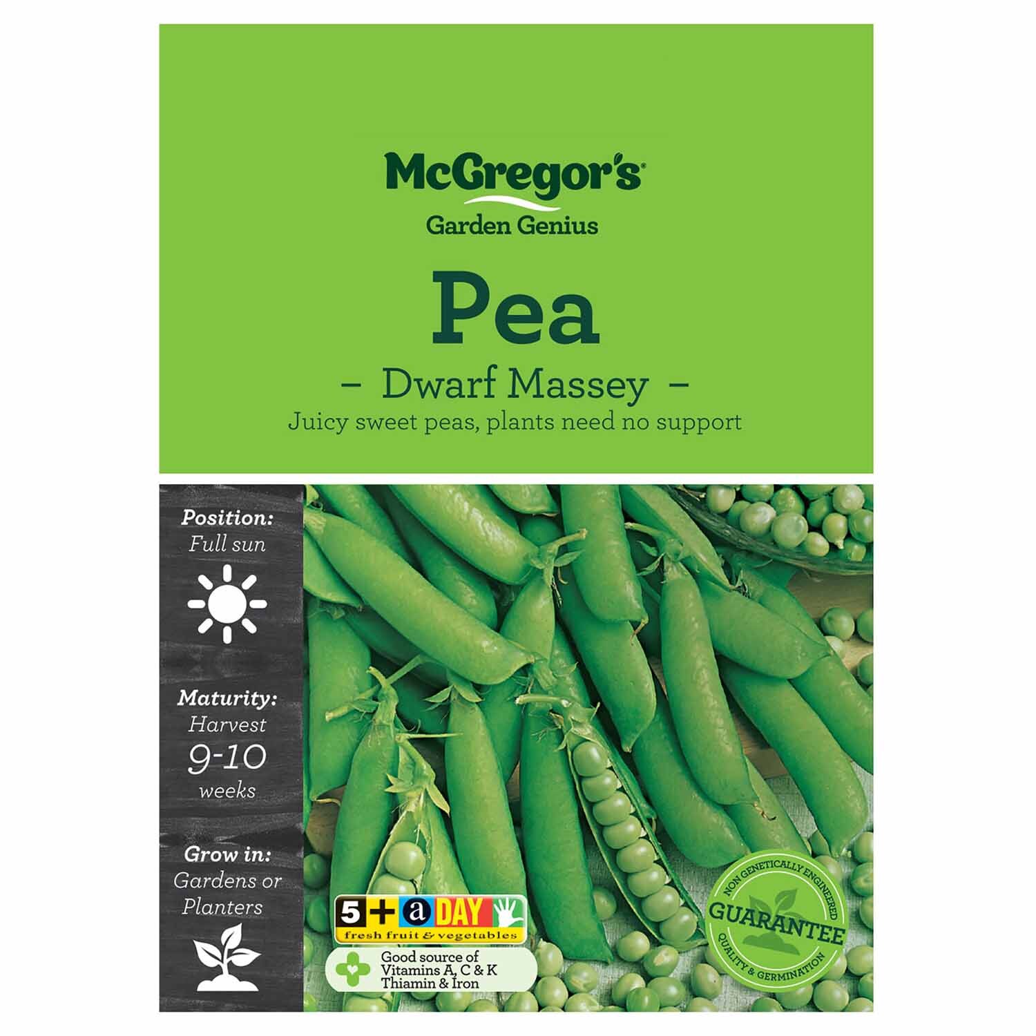 Dwarf Massey Pea  Vegetable Seed