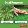 Weed n Feed BONUS PACK