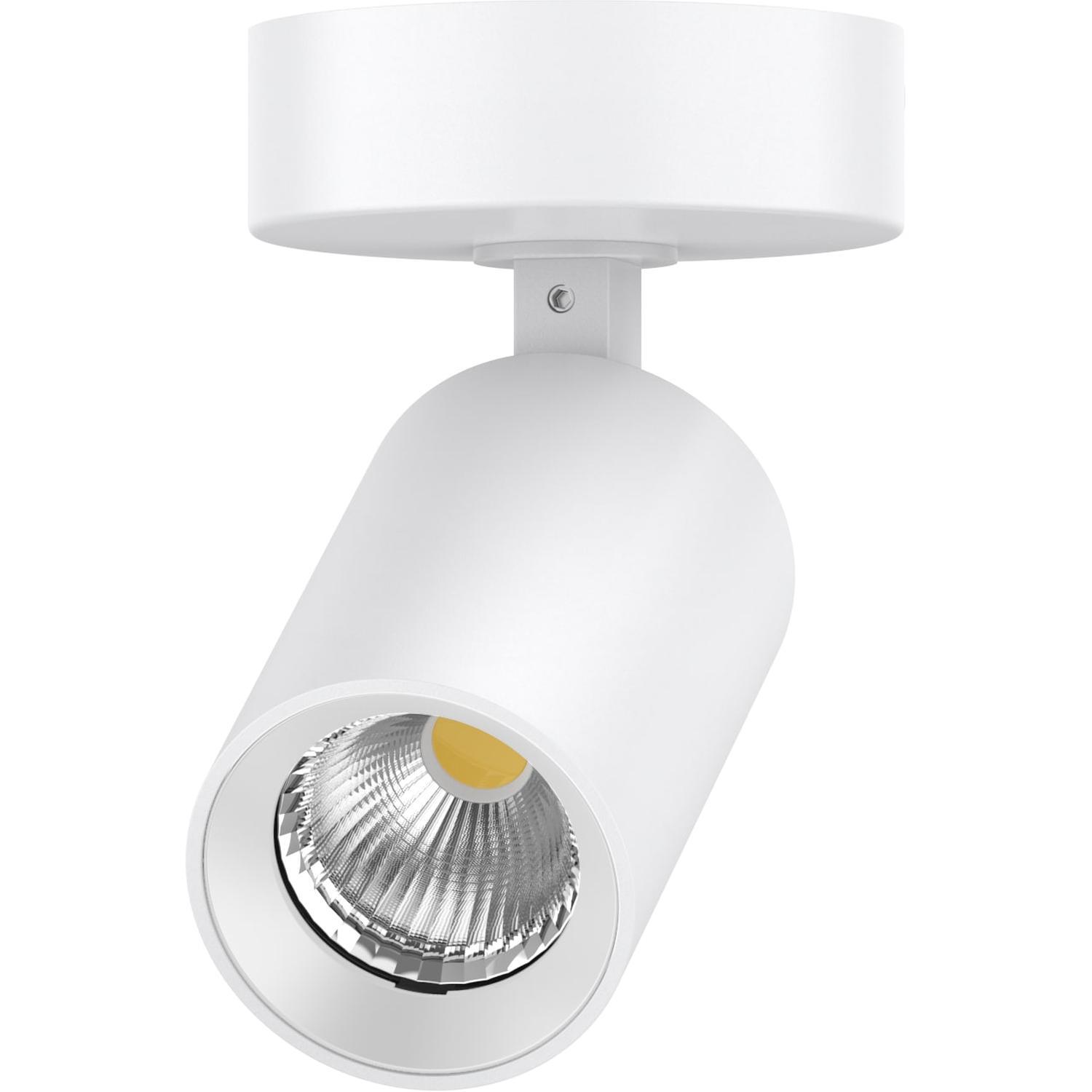 Single Indoor Spot Light 6W White