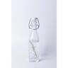 Preserving Bottle Swing Clip 500ml