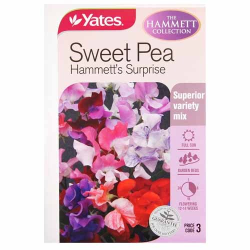 Sweetpea Hammett's Surprise