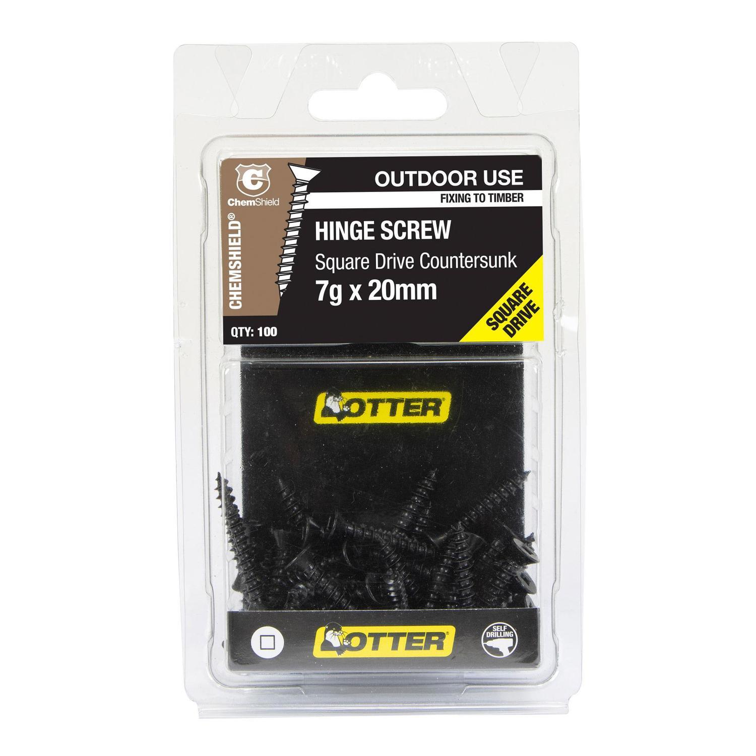 Hinge Screws