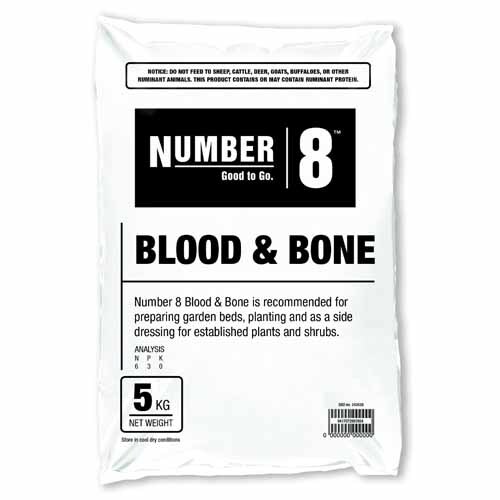 Blood & Bone