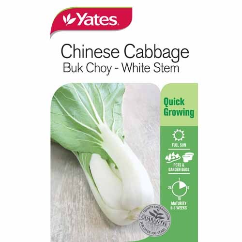 Chinese Cabbage 'Bok Choy' White Stem