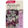 Flower Seed Alyssum 'Magic Circles'
