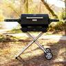 Portable Charcoal Grill with Cart