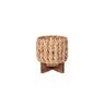 Water Hyacinth Indoor Pot with Stand