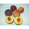 Peach Golden Grace