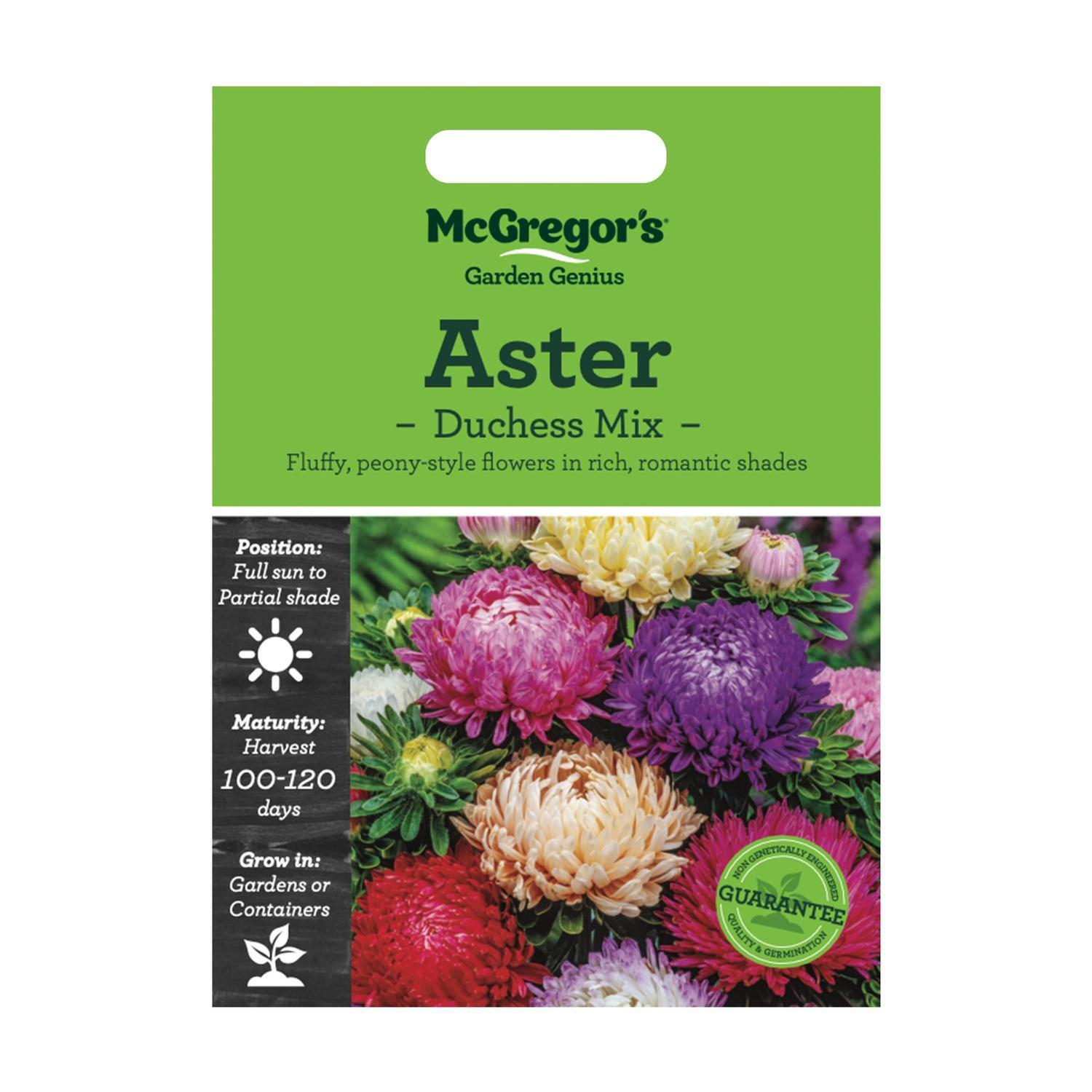 Aster Duchess Mix Flower Seed