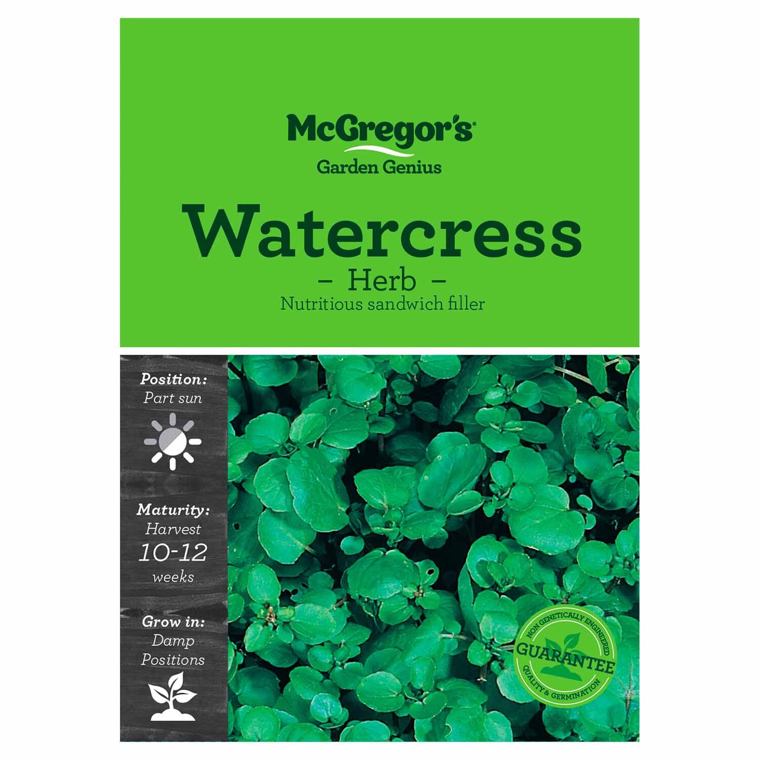 Watercress  Vegetable Seed