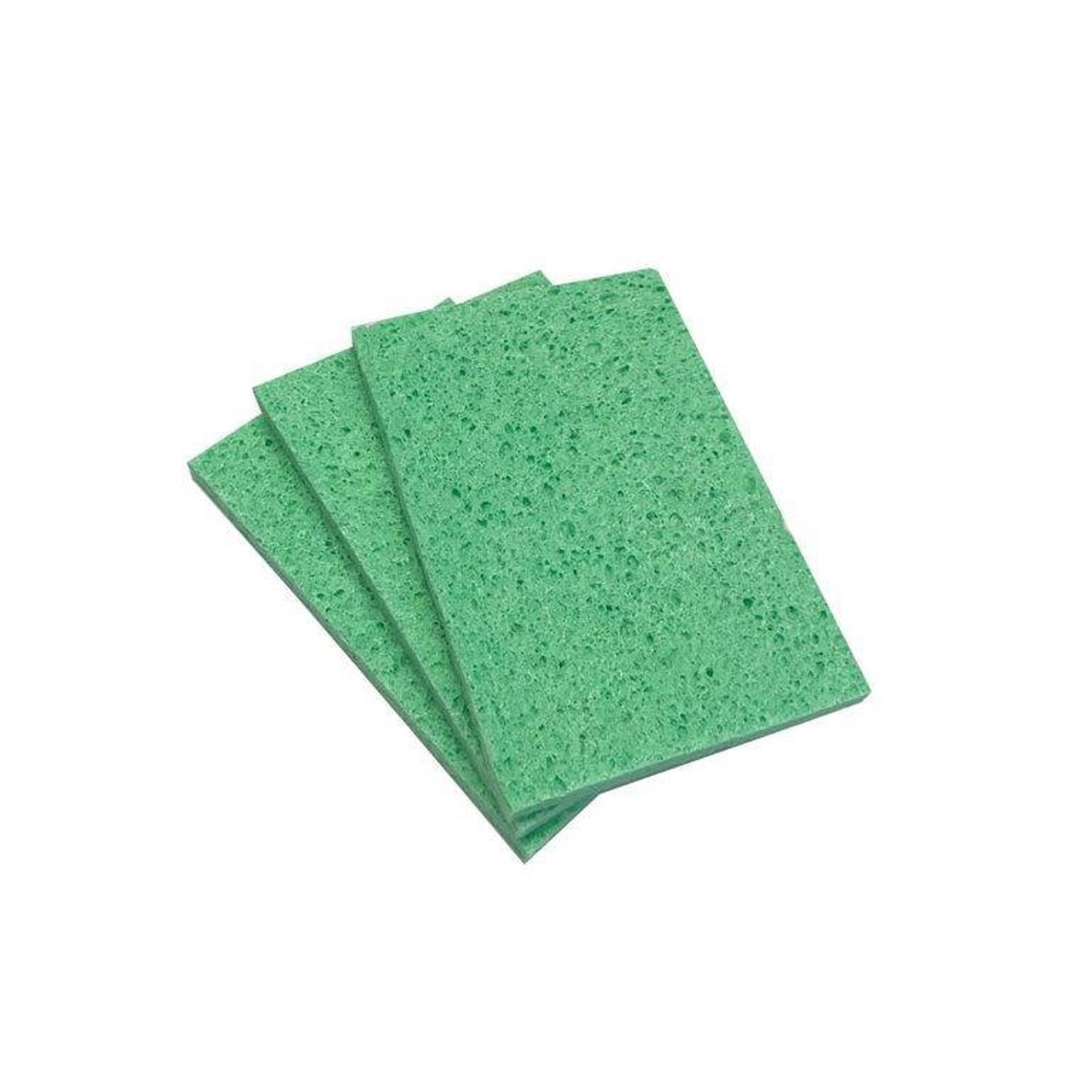 Sponge