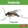 Gnat Barrier