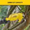 18V Pole Pruner Kit 2.0Ah