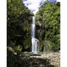 Splashback Kitekite Falls H: 750mm, W: 900mm Multi