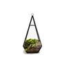 Glass Geometric Terrarium