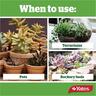 Potting Mix Cacti & Succulent