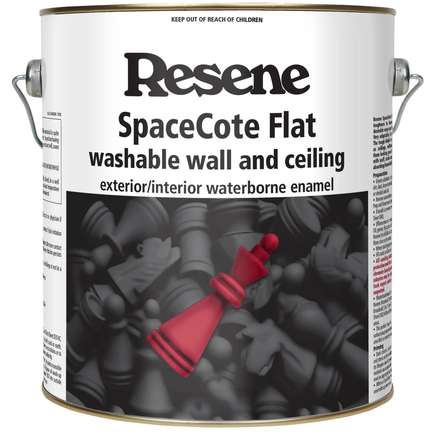 Wall and ceiling paint